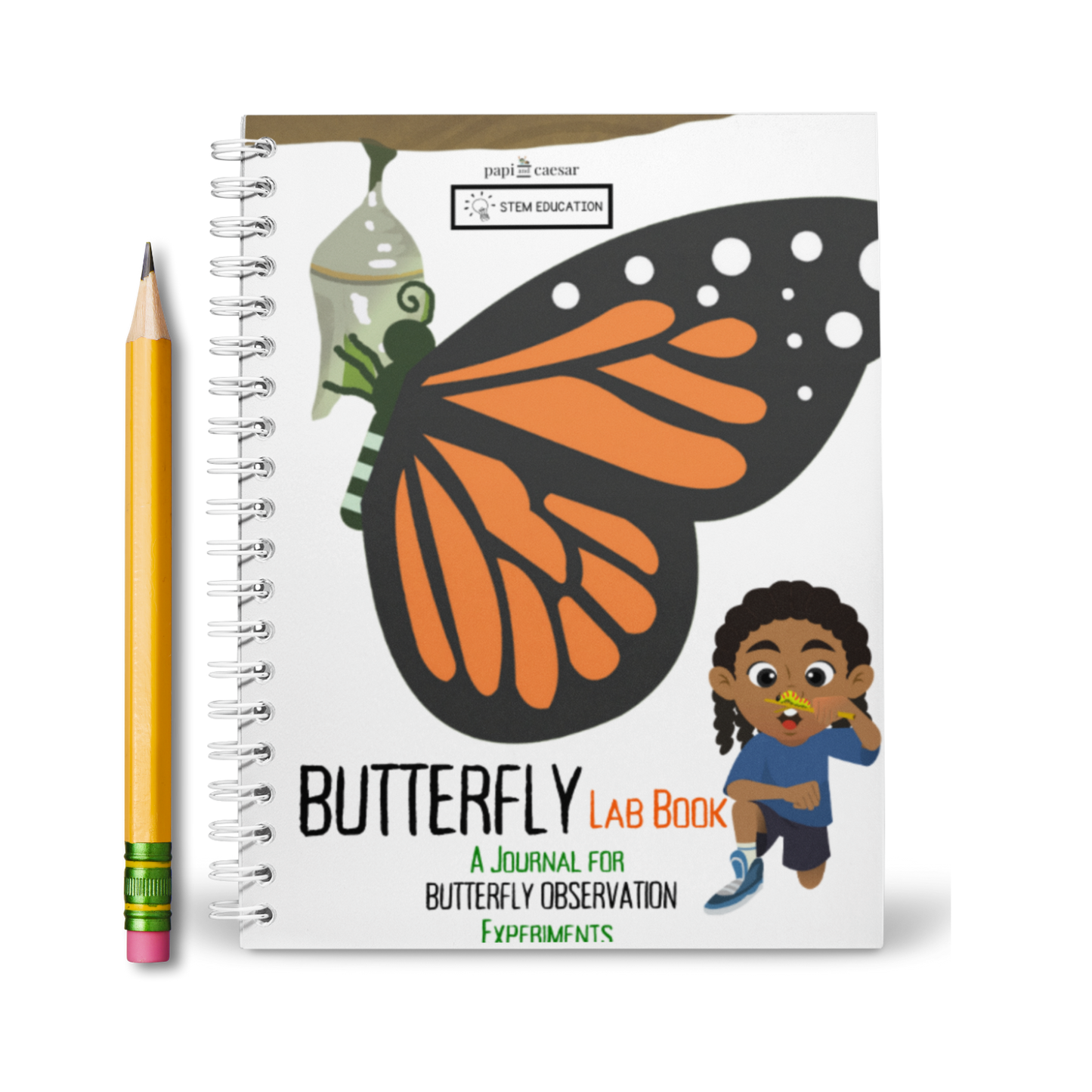 Butterfly Life Cycle Lab Book