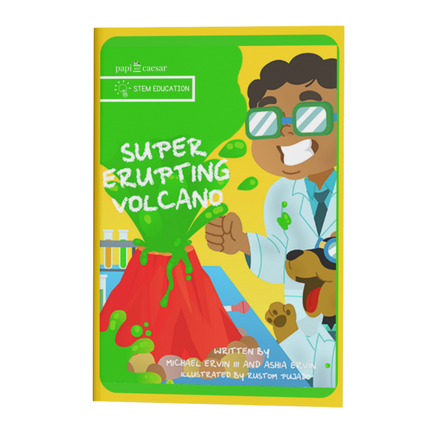 Make Your Own Volcano Chapter Book